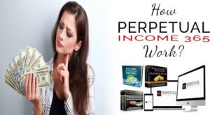 perpetual income 365 reviews