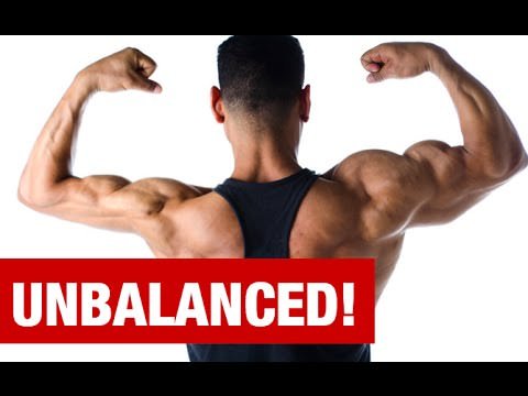 muscle balance definition