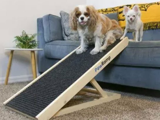 paw ramp