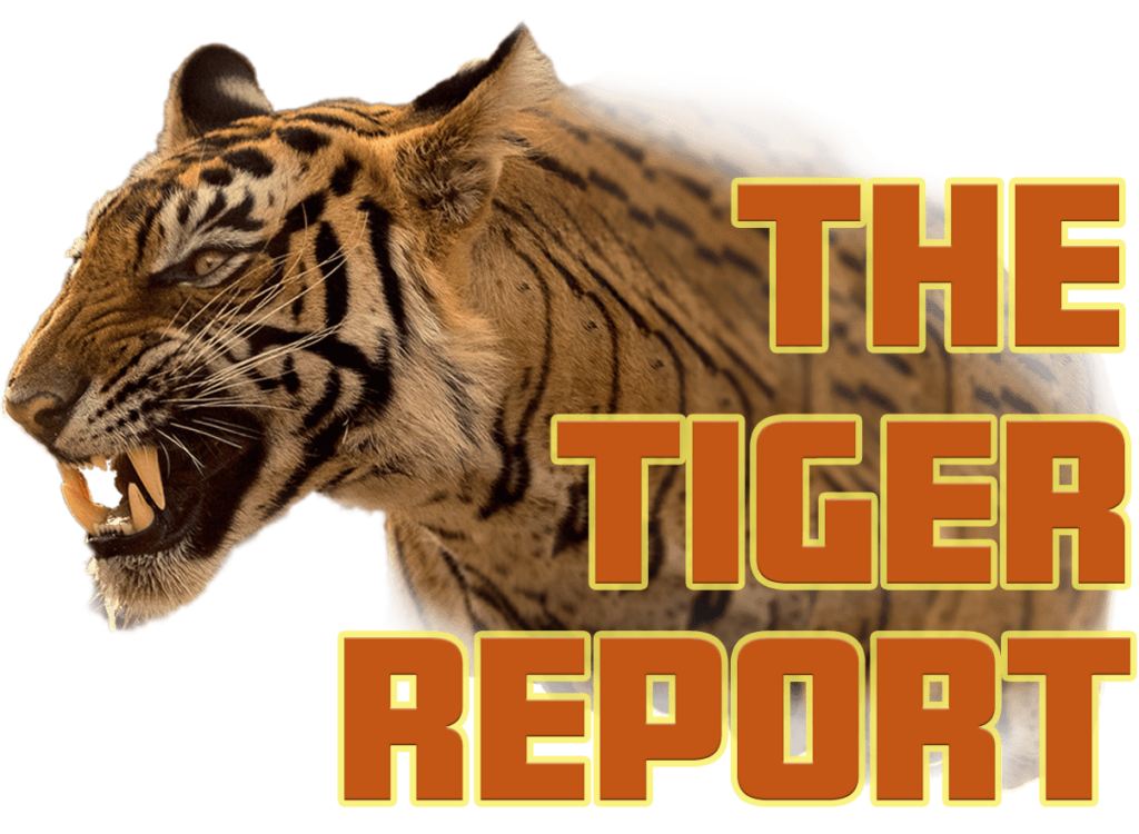 the tiger report funnel