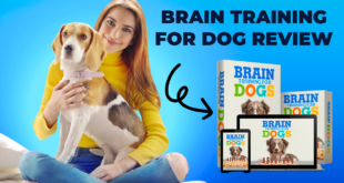 brain training for dogs pdf