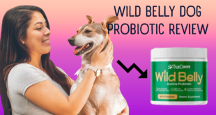 wild belly canine probiotic review