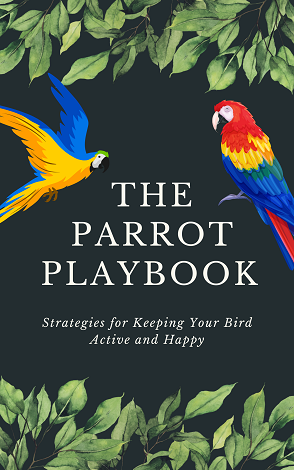The Parrot Playbook: Strategies for Keeping Your Bird Active