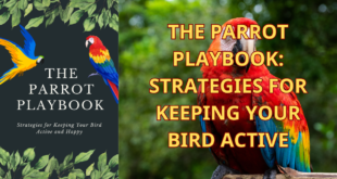 THE PARROT PLAYBOOK STRATEGIES FOR KEEPING YOUR BIRD ACTIVE