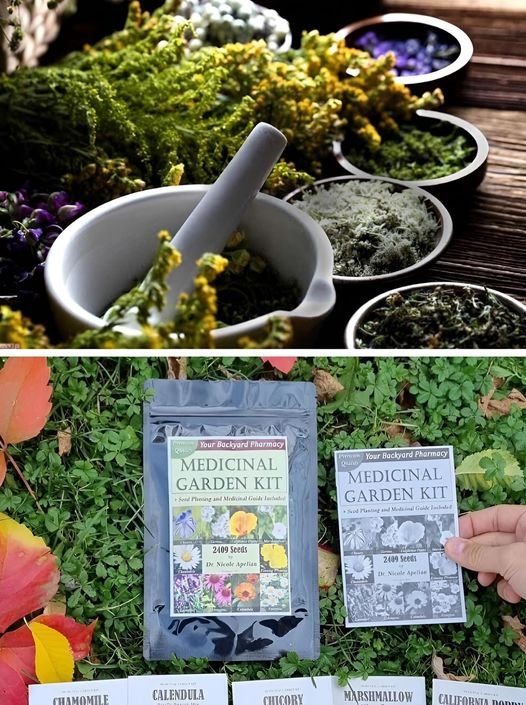 buy medicinal garden kit